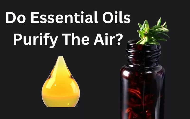 Essential Oils for air Purifying