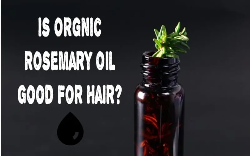 Organic Rosemary Oil For Hair