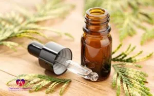 Safety Precautions with Peppermint oil